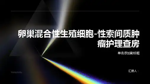 2024年卵巢混合性生殖细胞-性索间质肿瘤护理查房PPT