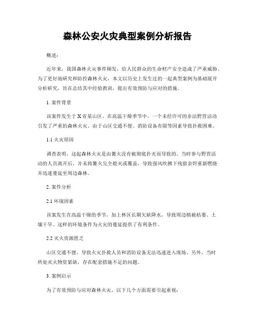 森林公安火灾典型案例分析报告