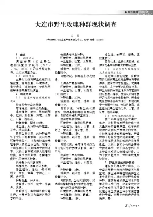 大连市野生玫瑰种群现状调查