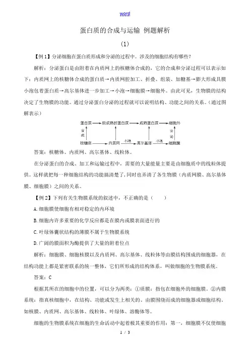 中图版高中生物必修1蛋白质的合成与运输 例题解析