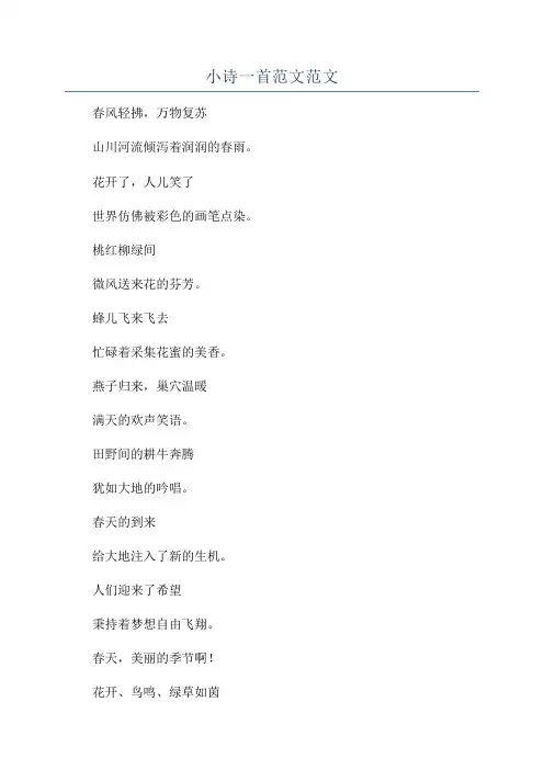 小诗一首范文范文