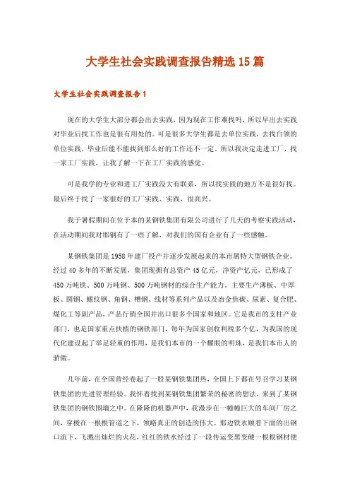 大学生社会实践调查报告精选15篇