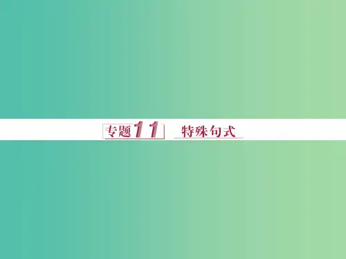 高考英语二轮复习 第一部分 语法突破 专题十一 特殊句式课件