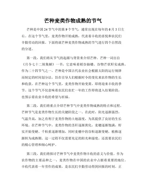 芒种麦类作物成熟的节气