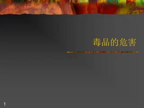 毒品的危害PPT课件