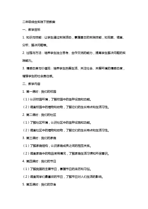 二年级综合实践下册教案