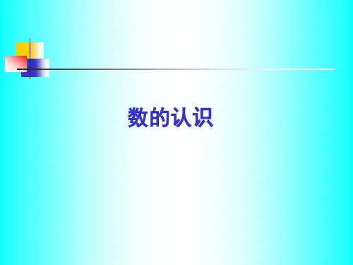 北师大六年级总复习：数与代数 数的认识 (一)整数