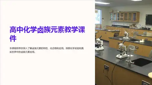 高中化学卤族元素教学课件