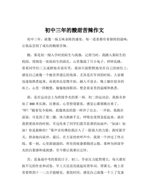 初中三年的酸甜苦辣作文