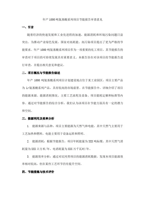 年产1000吨氨基酸系列项目节能报告审查意见