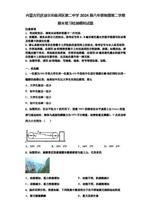 内蒙古巴彦淖尔市临河区第二中学2024届八年级物理第二学期期末复习检测模拟试题含解析