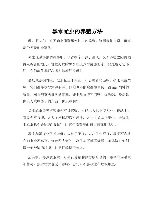 黑水虻虫的养殖方法