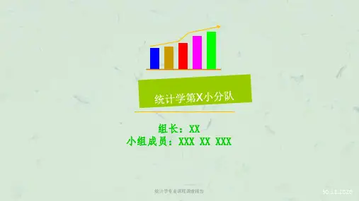 统计学专业课程调查报告课件