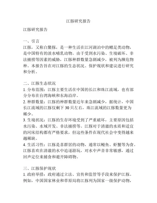 江豚研究报告