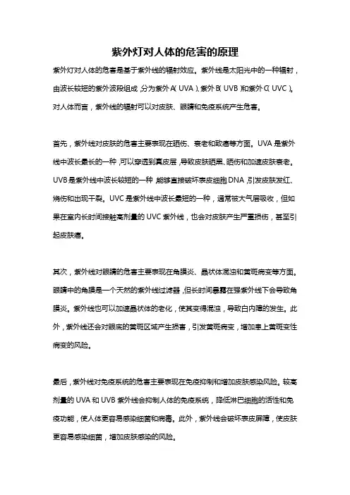 紫外灯对人体的危害的原理