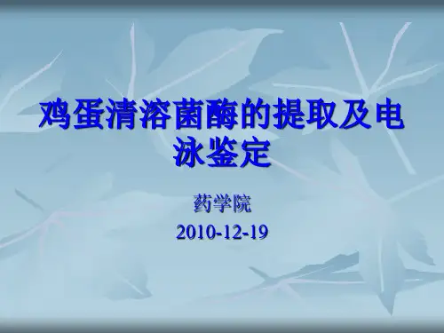 鸡蛋清溶菌酶的提取及电泳鉴定2012课件