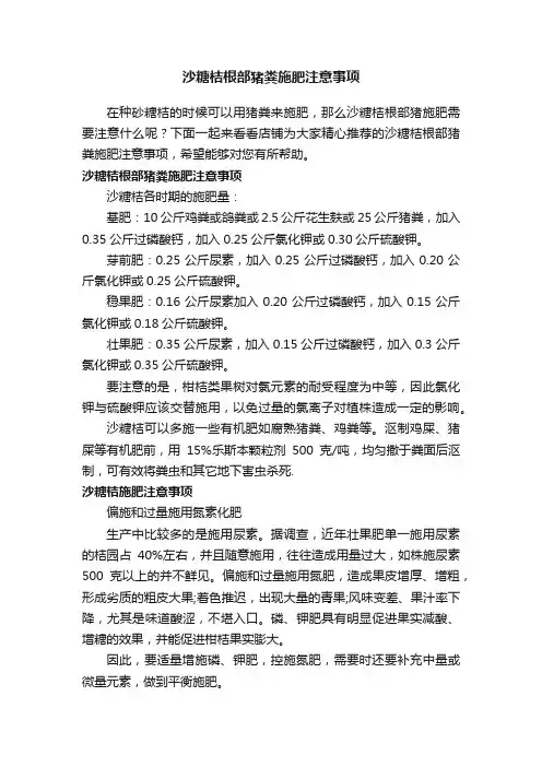 沙糖桔根部猪粪施肥注意事项
