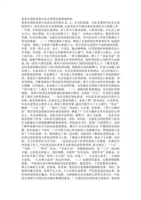 某某市消防某某中队共青团支部事迹材料