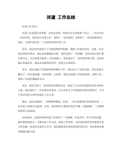 河道 工作总结