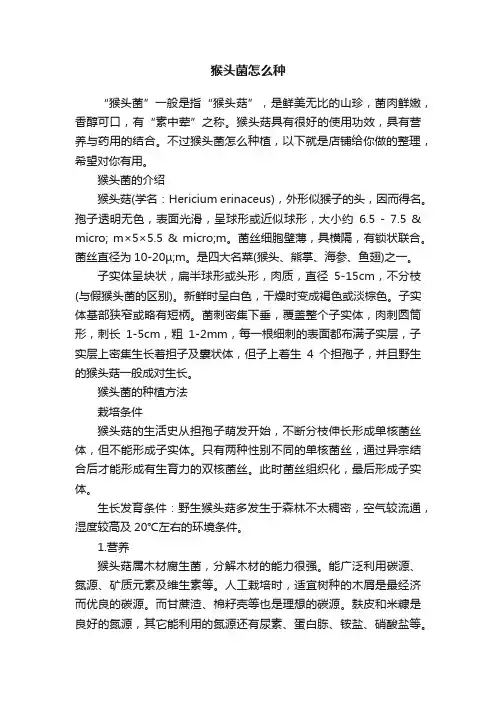 猴头菌怎么种