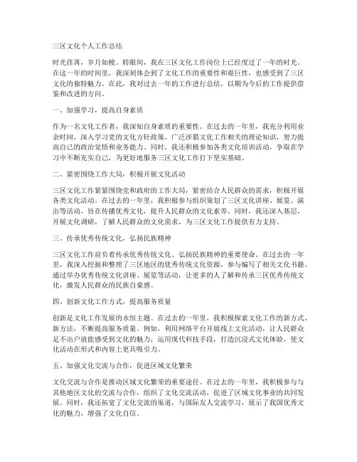 三区文化个人工作总结