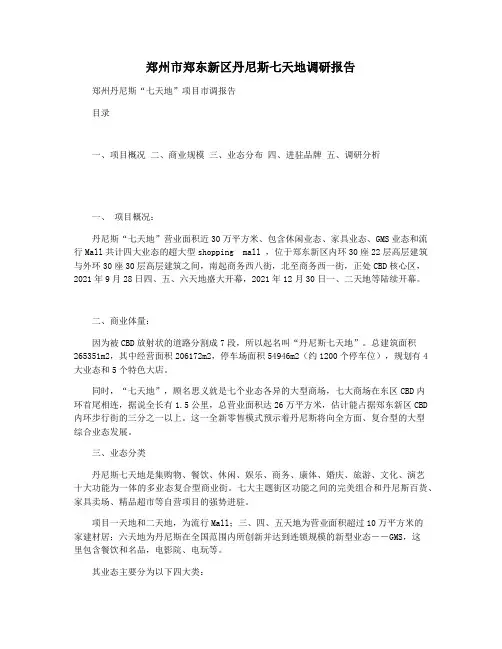 郑州市郑东新区丹尼斯七天地调研报告