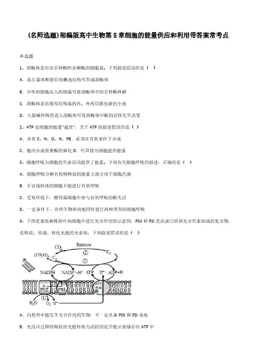 部编版高中生物第5章细胞的能量供应和利用带答案常考点