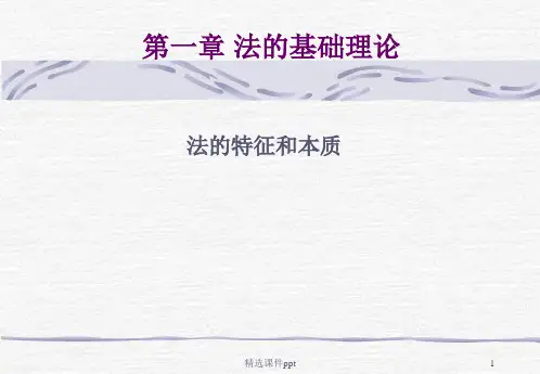 法的基础理论ppt课件