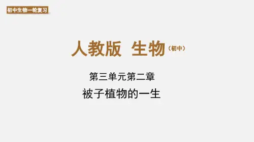 初中生物中考复习课件《专题05 被子植物的一生》