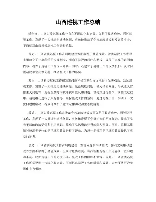 山西巡视工作总结