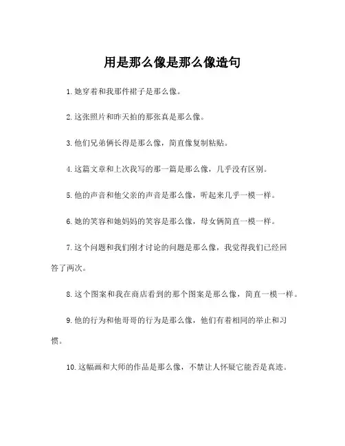 用是那么像是那么像造句
