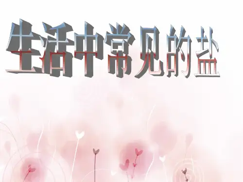 生活中常见的盐PPT1