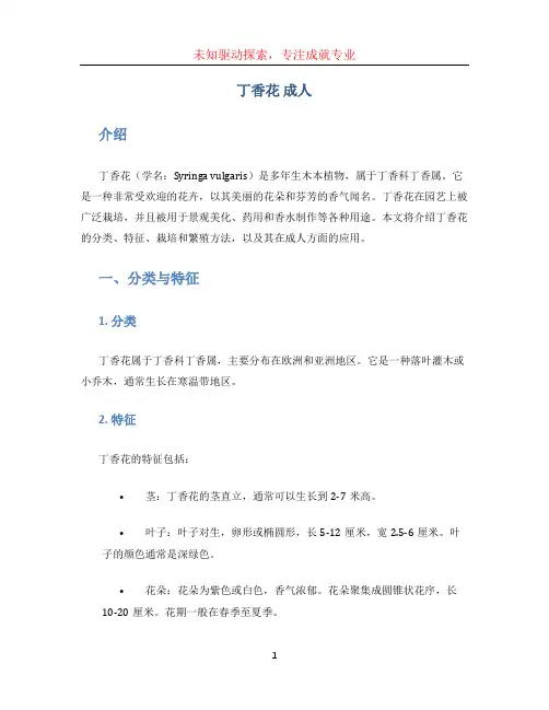 丁香花 成人 (2)