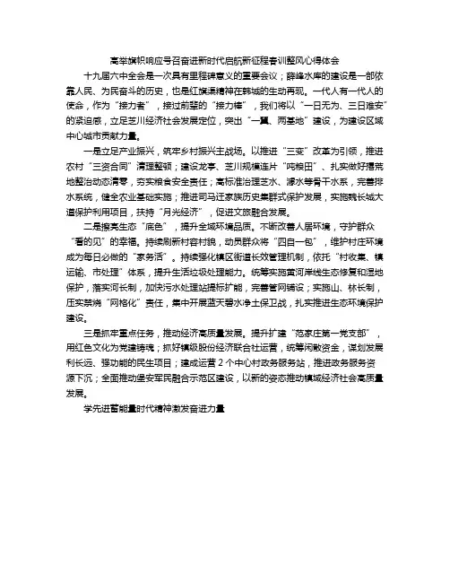 高举旗帜响应号召奋进新时代启航新征程春训整风心得体会
