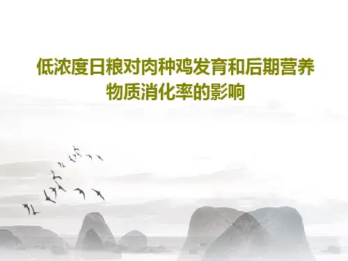 低浓度日粮对肉种鸡发育和后期营养物质消化率的影响21页PPT