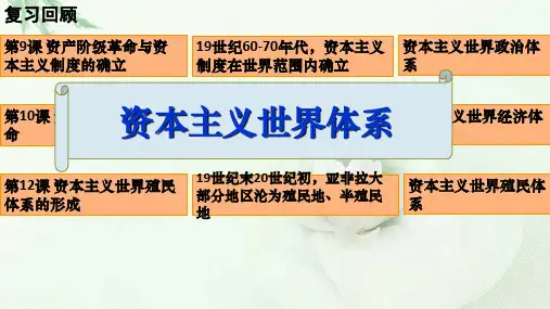 人教统编版必修中外历史纲要下第21课 世界殖民体系的瓦解与新兴国家的发展 17ppt