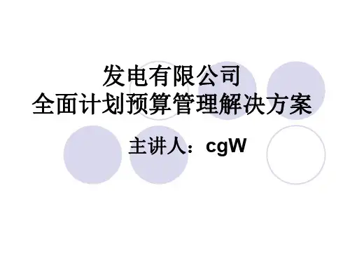 发电企业全面预算管理解决方案