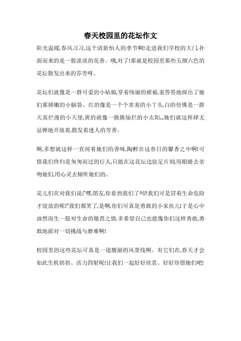 春天校园里的花坛作文