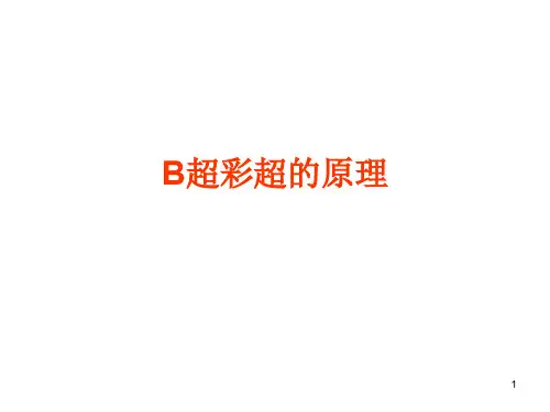 B超彩超的原理ppt课件