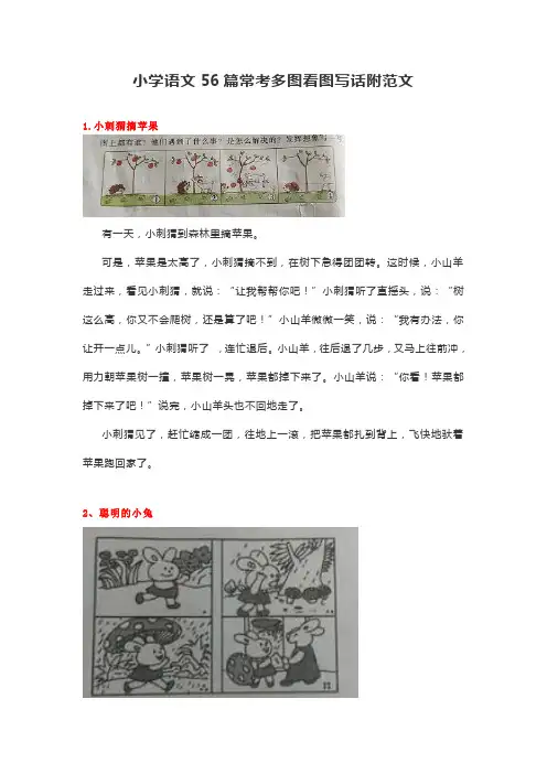 二年级小学语文56篇常考多图看图写话附范文