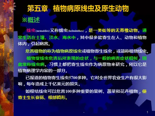 第五章-植物病原线虫及原生动物PPT课件