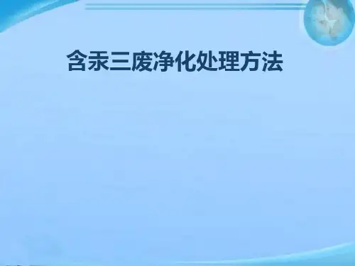 含汞三废处理技术  ppt课件