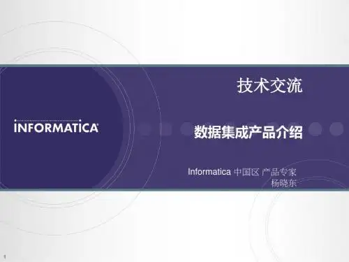 Informatica数据集成资料