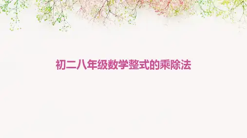 初二八年级数学整式的乘除法