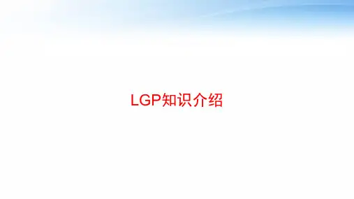 LGP知识介绍 ppt课件