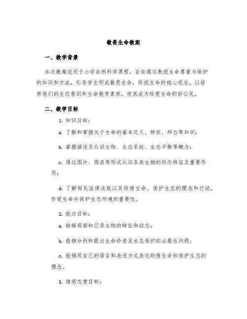 敬畏生命教案