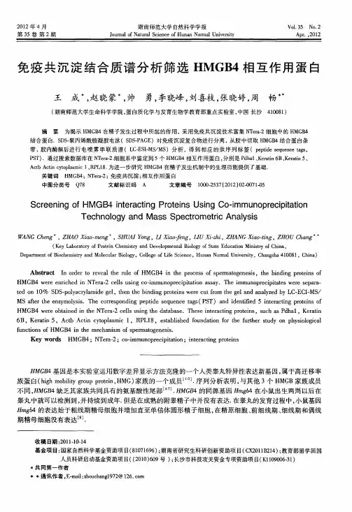 免疫共沉淀结合质谱分析筛选HMGB4相互作用蛋白