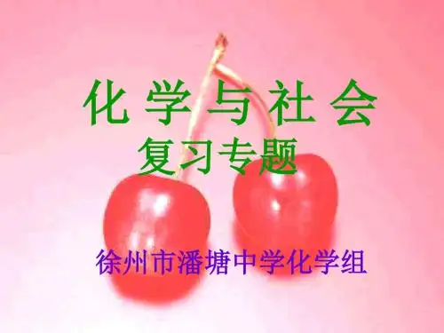 中考化学化学与社会发展课件(新编教材)