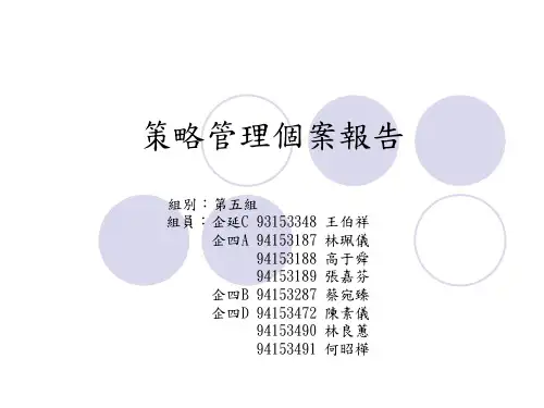 策略管理个案报告精品文档47页