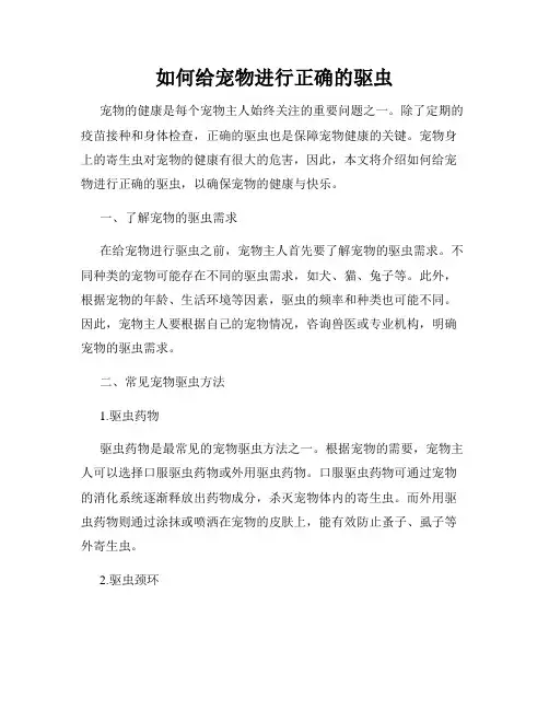 如何给宠物进行正确的驱虫